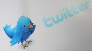 twitter bird