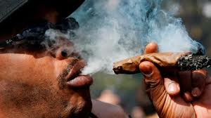 cannabis