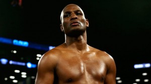 boxer