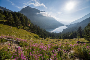 Sant_Maurici_lake,_Aigüestortes_i_Estany_de_Sant_Maurici_National_Park,_Spain_-_Diliff