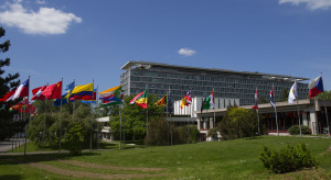 World Health Organization (WHO)